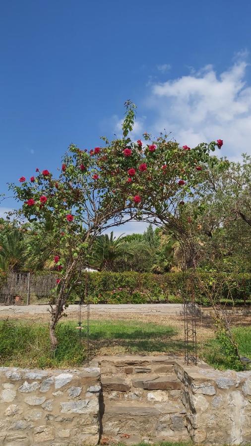 Jenny'S Garden Apartment Vourvourou Bagian luar foto