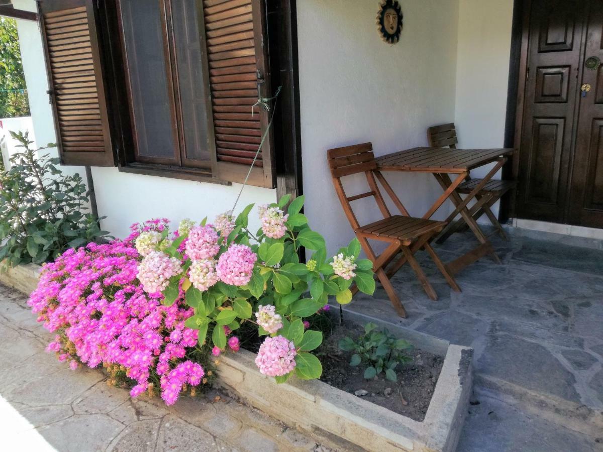 Jenny'S Garden Apartment Vourvourou Bagian luar foto